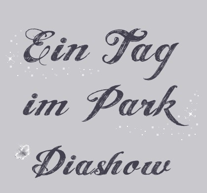 Diashow Sammy im Park