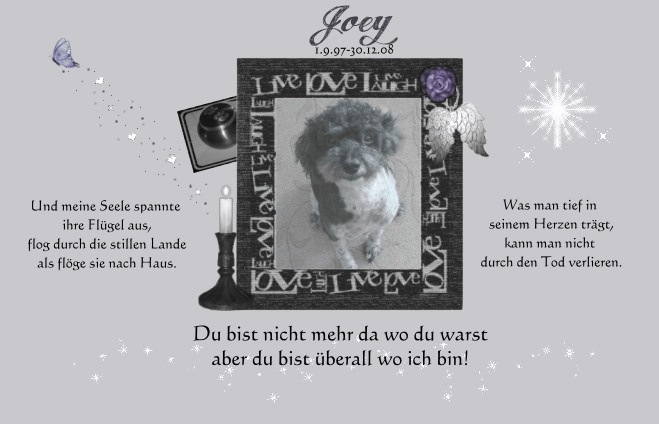In Gedenken an Joey