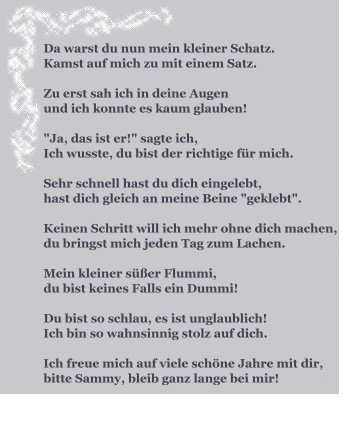 Dammys Gedicht